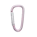 Pink D-shaped aluminum carabiner hook with silver spring gate for DIY keychains - D-shaped Buckle / 24x46mm / Pink