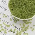 Groene matte 3mm glaskralen voor DIY-sieraden en handgemaakte kralenarmbanden - 3mm (Ongeveer 20g/Pak) / Olijfgroen