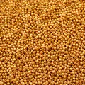 Golden glass seed beads for DIY jewelry making with smooth metallic finish and shine - 2mm (10g/Pack, Approx. 950 Pcs) / Gold