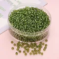 Cuentas de vidrio verde hierba de 3 mm para joyería DIY en caja redonda de plástico - 3mm (450g/Paquete) / Verde Hierba