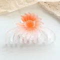 Nahaufnahme der durchsichtigen Haarklammer mit einer rosa-orangefarbenen Gänseblümchen-Blüte - Weiß Orange