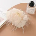 Elegant beige ostrich feather claw clip with long tassels on a stylish desktop background - White