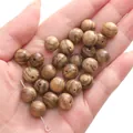 Polished 10mm round wooden beads with natural grain for DIY jewelry making - 10mm (30 Pieces/Pack) / Agarwood