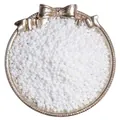 Perles de rocaille blanches irisées AB dans un plateau argenté pour bijoux DIY - Blanc Porcelaine Couleur Magique