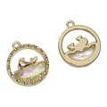 Gouden walvisstaart hanger in ronde legering met dromerige iriserende hars inlay - Walvis Stijl (10)