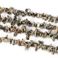 Polished natural Dalmatian Jasper irregular tumbled stone beads for DIY jewelry making - Natural Dalmatian Jasper (BTB784)