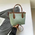 Mint green leather crossbody bag with brown handles and elegant lychee grain texture - Green