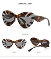 Detaillierte Mehrwinkelansicht der Cat-Eye-Sonnenbrille mit Schildpatt-Streifen und grauen Gläsern - Schildpatt-Rahmen Graue Gläser (C3)