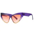 Modische Damen-Cat-Eye-Sonnenbrille mit lila Rahmen und orangefarbenen Gläsern - Violetter Rahmen Rosa Linse