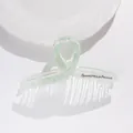 Dettaglio macro della pinza per capelli verde da 13cm con scritta Barrette La France - Verde