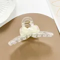 Dettaglio della grande pinza per capelli trasparente con fiocco di perle su sfondo caldo - Verde