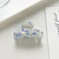 Vue détaillée d'une pince à cheveux en acétate blanc avec motifs floraux bleus et nacrés - Bleu Ciel