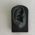 Professional black silicone ear model with base for medical teaching and jewelry display - Square Base Right Ear Model / Black