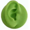 Neon green silicone ear model for medical teaching and jewelry display on base - Right Ear Model / Green