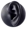 Black matte silicone human ear model for jewelry display and medical training usage - Left Ear Model / Black