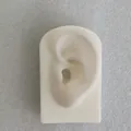 Realistic white silicone ear model with detailed anatomical structure for medical teaching - Square Base Left Ear Model / White