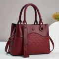 Detail of burgundy leather handbag showing woven texture and gold metal hardware - Burgundy