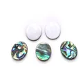 Oval natural abalone and mother of pearl cabochons for DIY jewelry making - 003 Oval 10x14mm