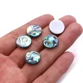 Natural abalone shell round cabochons with colorful iridescent texture for DIY jewelry - 004 Round 10mm