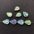 Natuurlijke abalone schelpkralen in druppelvorm met iriserende glans voor DIY-sieraden - Verticale Waterdruppelvorm / 12x16mm / AB Wit