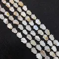 Natürliche Perlmutt-Tulpenperlen für handgefertigten Schmuck und kreatives Bastelzubehör - Pfotenabdruck/Tulpenform 11x15mm