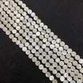 Flat round natural mother of pearl shell beads with elegant nacreous luster - Disc