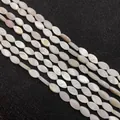 Natural marquise shell beads with iridescent luster for DIY jewelry making - Marquise