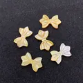 Schleifenförmige natürliche Muschelanhänger für DIY-Schmuck in Gold und Weißtönen - Gelb