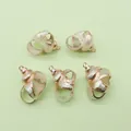 Five pieces of natural conch shell pendants with rose gold plating for DIY jewelry - Pendant Only (No Chain)