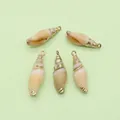 Five spiral natural shell pendants with gold plated edges for DIY jewelry making - Conch Shell Shape / Light Brown