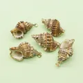 Brown natural sea shell charms with gold plated edges for DIY jewelry making - 23x37-35x40mm / Brown