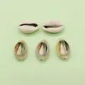 Natural white hollow cowrie shell pendants set of 5 for DIY jewelry necklace making - Cut-surface Hollow Style (No. 1) / 14x23mm/1.3g
