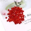 Macro detail of red rose carved synthetic coral loose beads for DIY jewelry making - 5-6mm / Red
