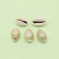 Set of five natural cream cowrie shells with pre-drilled holes for DIY jewelry making - Drilled Conch Shell / White (No. 1)