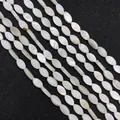 Natural marquise shell beads with mother of pearl luster for DIY jewelry making - Marquise (5x10mm)