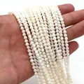 Fili di perle tonde di conchiglia naturale bianca per la creazione di gioielli - Off White (No. 14)