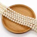 Dettaglio di perle in conchiglia sfaccettate color crema con motivo a mosaico - 10mm / Bianco Sporco