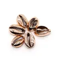 Macro detail of six golden electroplated cowrie shells for DIY jewelry making - Gold