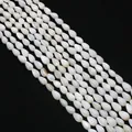 Macro view of teardrop natural shell beads with iridescent luster on black background - Teardrop / 5x8mm