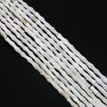 Macro shot of bamboo-shaped white natural shell beads for DIY jewelry making - Bamboo Joint / 4x8mm