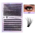Faux cils individuels DIY en 40P montrant une courbure naturelle et des segments volumineux - 40P Plateau Unique (DIY-SET-049)