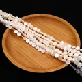 Macro view of natural white mother of pearl shell disc beads for DIY jewelry - 4mm / White