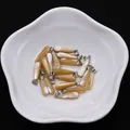Makro-Detail von natürlichen Muschelanhängern mit Perlmuttglanz in einer weißen Keramikschale - Braunes Muschel Silber