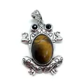 Macro detail of frog pendant with tiger eye stone and vintage silver engraving - Tiger's Eye