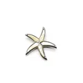Primer plano de colgante de estrella de mar plateada con nácar blanco natural incrustado - Blanco