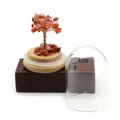 Detailed view of handmade red crystal money tree with copper wire on wood base and glass dome - Southern Red Agate