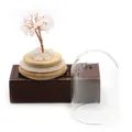 Pink rose quartz crystal money tree with copper wire on bamboo base and glass dome - White Crystal