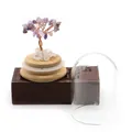 Handmade amethyst crystal gemstone money tree with a glass dome and wood base - Amethyst & Clear Quartz