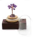 Amethyst crystal fortune tree with natural wood base and a protective glass dome cover - Purple Crystal