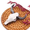 Macro detail of bull head pendant on brown rattan pad with decorative dried flowers - White Bone Black Horn Tribal Vintage Style (No. 3)